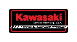 KAWASAKI Z1000 R Edition 2017 model 1:18 Welly