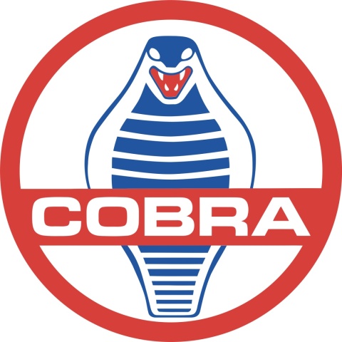 SHELBY COBRA 427 MkII 1965 S1804913 Solido 1:18 srebrny